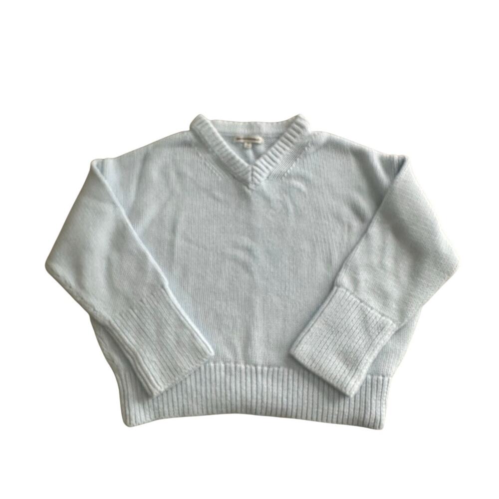 Banana Republic Cotton V Neck Sweater Sky Blue M